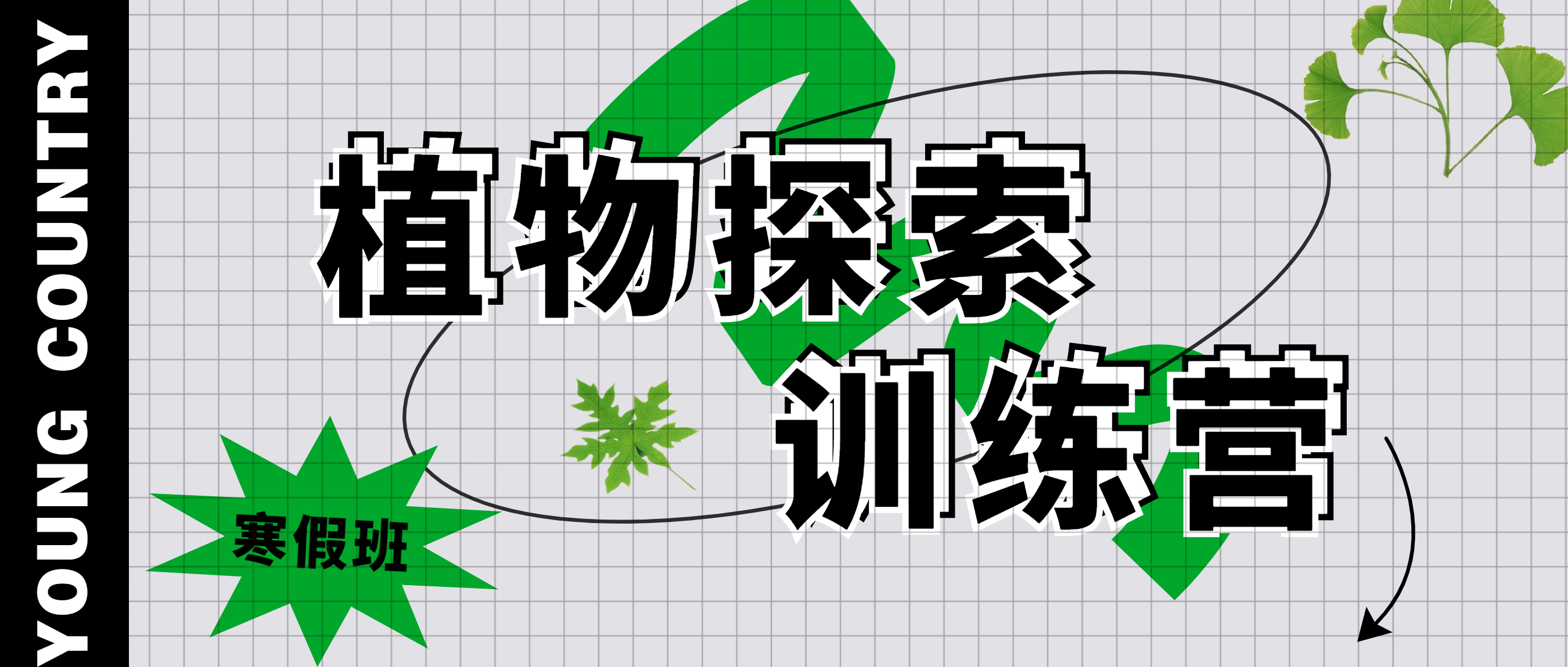 羊角锤2023《植物探索训练营》正式启航！