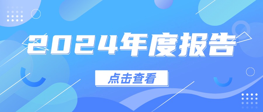 羊角锤2024年度报告